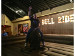 David Horowitz is ready to take on the bull!